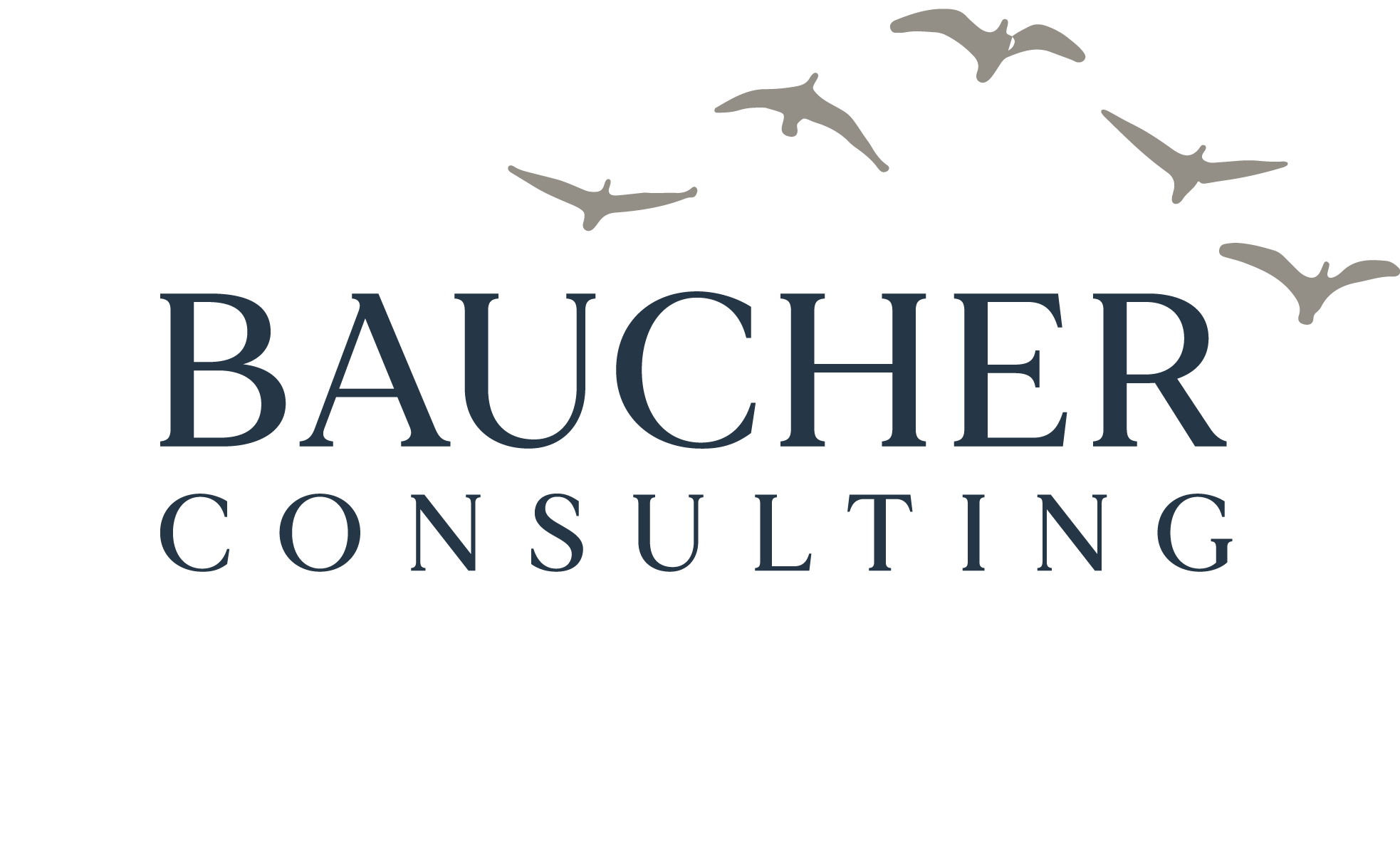 Baucher_Consulting_Logo_Boxed
