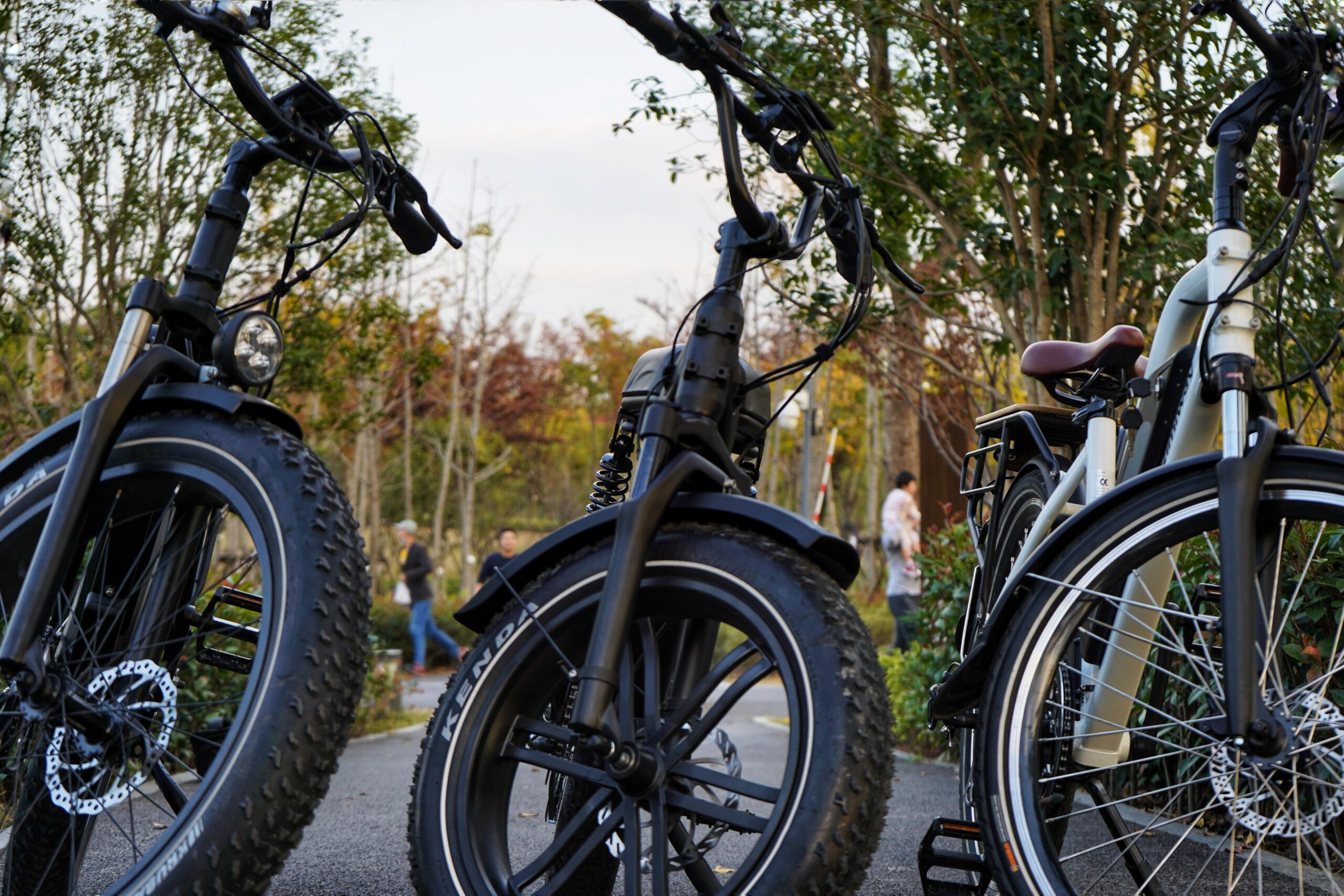 Three electric bikes parked on their stands. Two are black and one is white, on a concrete path lined with trees both sides.